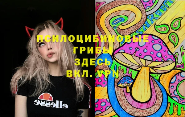 винт Армянск