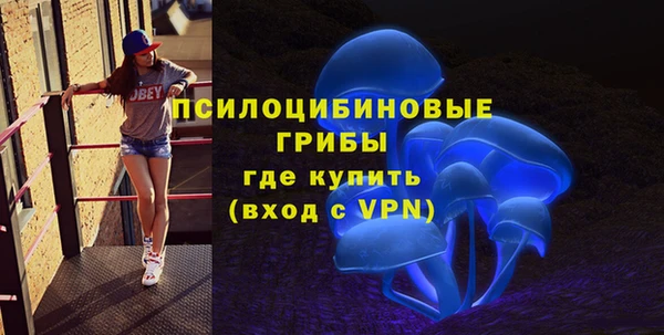 винт Армянск